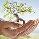 Environmental Toxicology conference