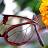 Swagata Bose