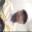 Sadiq Azeez Dare