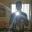 Samuel kwarteng Amaneampong