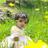 Muhammad Waseem Tubasum