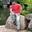 Mayank Mayank