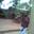 profile_pic