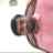ASHWIN VAGHANI