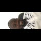 Mark Morrison Nuworkpor