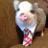 Luis Lacotera