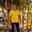 Naveen Sood