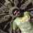 Sujai Karthik MS