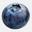 Blue-Berry