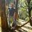 Jay Pandya