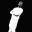 Amadou Tall