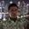 Md Jamal Hossain