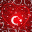 ihsan elibuyuk