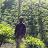 painthamil venthan