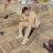 Aniket T