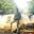 Nayan gowda